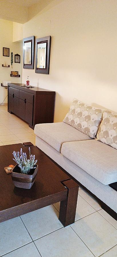 Holiday & Business Furnished Apartments Mytikas (Epirus) Exterior foto